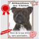 staffie bringé, Plaque Portail "Attention au Chien, interdit sans autorisation" verticale pancarte panneau staffy staffordshire