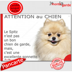 Plaque "Attention au Chien, le Spitz crème est une sonnette" 24 cm RNG