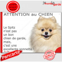 Plaque "Attention au Chien, le Spitz crème est une sonnette" 24 cm RNG