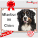 Bouvier Bernois Tête, plaque "Attention au Chien" pancarte panneau photo