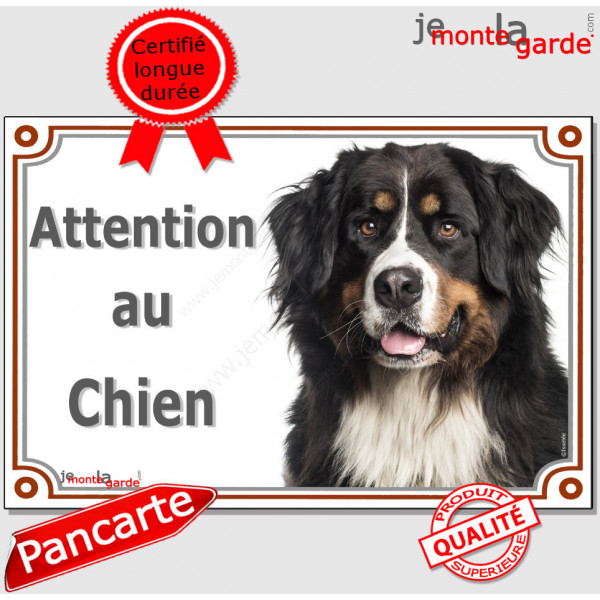 Bouvier Bernois Tête, plaque "Attention au Chien" pancarte panneau photo